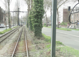 Example of a line of objects (trees + catenary poles) that can obstruct visibility in a dynamic situation